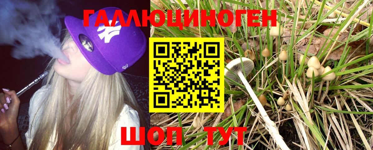 Псилоцибиновые грибы Psilocybine cubensis Губкинский