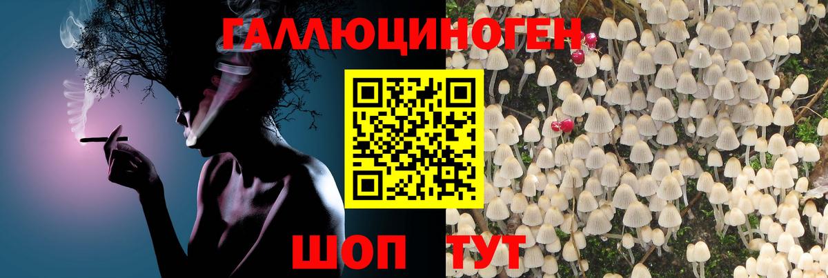 MDMA  АМФЕТАМИН   Губкинский  Марихуана  Меф   Вход с VPN 