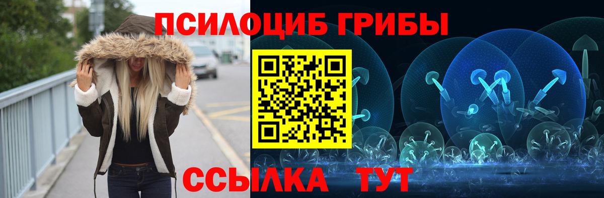 купить наркотик  Вход с VPN  Губкинский  Галлюциногенные грибы Psilocybine cubensis 